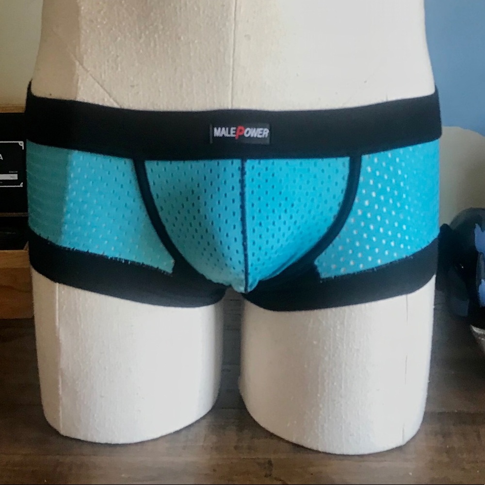 Male Power Mesh Trunks